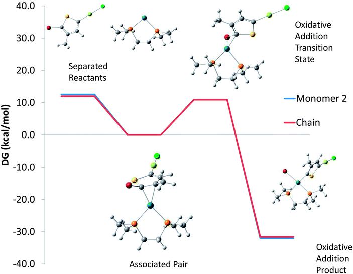 Calculated free energy surface for the associated pair between Pd(dmpe) and either 2-bromo-3-methyl-5-magnesiochloro thiophene monomer or a 2-bromo-3-methylthiophene model for the growing chain to undergo dissociation (left) or oxidative addition (right). Calculated geometries for the monomer case are shown for each species.