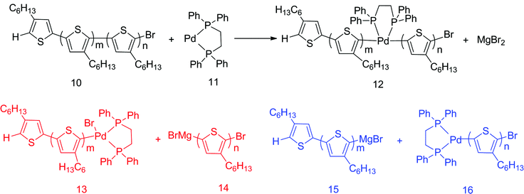 Proposed chain scissoring mechanism in Pd(dppe)Cl2 catalyzed polymerization of 3-hexylthiophene.