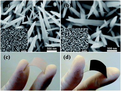 Plastic based dye-sensitized solar cells using Co 9 S 8 acicular 