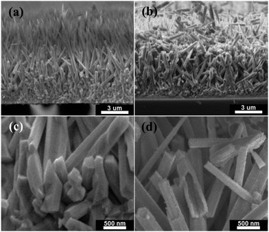 Plastic based dye-sensitized solar cells using Co 9 S 8 acicular 