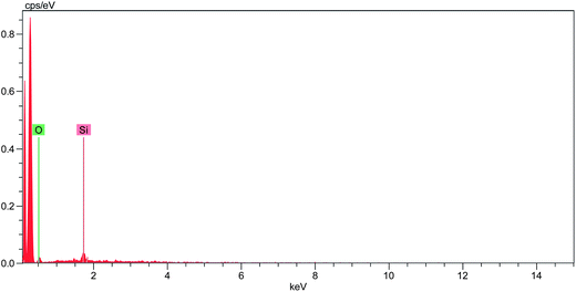 EDX spectrum of the virgin surface of the PP nanocomposite containing 5 wt% AL0130.