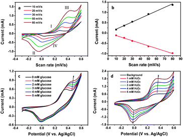 (a) CV curves of the Mn3O4/3DGF composite electrode recorded at different scan rates (from inside to outside: 10, 20, 30, 50 and 80 mV s−1) in 0.1 M NaOH solution. (b) Plots of the scan rate versus peak currents at (II) and (III). (c) CVs of the composite electrode recorded at 20 mV s−1 in the presence of different concentrations of glucose (from inside to outside: 0, 1, 2, 3, 4, and 5 mM). (d) CVs of the composite electrode recorded at 20 mV s−1 in the presence of different concentrations of H2O2 (from inside to outside: 0, 1, 2, 3, 4, and 5 mM).