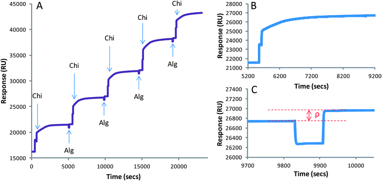 Biacore sensorgrams demonstrating the production of alginate–chitosan multilayers onto a carboxymethyldextran surface (A). Enhanced regions of the sensorgram showing the individual injections of chitosan (B) and alginate (C). The notation ‘ρ’ in (C) demonstrates that the real response for association should be taken as the difference in RU before and after the injection of an analyte, and not during the injection.