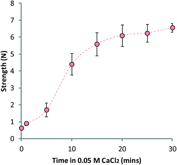 LBL-coated matrices regaining strength after exposure to a 0.05 M CaCl2 solution, adjusted to pH 6.0. Data given as mean (n = 5) ± standard deviation.