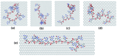 The model structures considered for the DFT study. (a), (b), (c), (d) and (e) represent structure of ssdG12, ssdA12, ssdC12, ssdT12, and ssd(AGTC)3 adsorbed onto the hydrogen terminated graphene fragment, respectively.