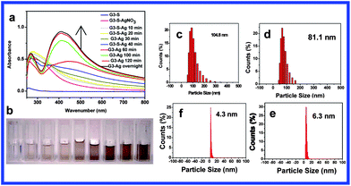 (a) UV-visible spectra of AgNP solution with increasing UV irradiation time; (b) photos of gradual formation of G3-S–Ag with UV irradiation from 0 to 240 min (pH = 8, 10 mL H2O mixed with 5 mL MeOH, dendrimer : Ag = 2 : 1); (c)–(f) DLS profiles of G3-S–Ag after UV irradiation (clockwise from upper left): 10 min, 20 min, 60 min, and 240 min.