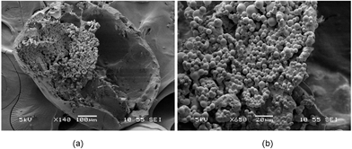 SEM images of (a) cross-sectional view and (b) close-up view of a microcapsule where smaller particles were encapsulated within the hollow cavity.