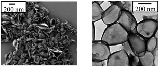 SEM (left) and TEM (right) images of crosslinked HES NCs from the cyclohexane phase.