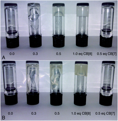 Inverted vial test of 10% w/v of 5a (A) or 5b (B) solutions with varying equivalents of CB[8] and a control experiment wherein addition of CB[7], which can only accommodate one guest (i.e. crosslinking is impossible), does not cause a visible increase in viscosity.