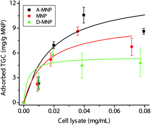 The adsorption profiles of TGC on A-MNPs, MNPs, and D-MNPs. The curves were fitted by the Langmuir equations.