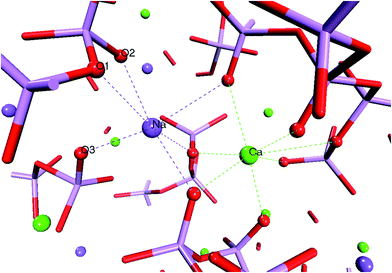Snapshot from the AIMD trajectory of the P45C30N25 glass showing the typical calcium and sodium coordination shells. Ca, Na, O and P are pictured as green, purple, red and pink spheres, respectively.