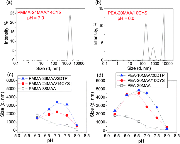 Effect of pH on the Dh of crosslinked and non-crosslinked particles. Selected size distribution functions for crosslinked particles are shown in (a) and (b). The Dh as a function of pH for (c) PMMA-38MAA, PMMA-36MAA/2DTP and PMMA-24MAA/14CYS and (d) PEA-30MAA, PEA-10MAA/20DTP and PEA-20MAA/10CYS. For PMMA-38MAA and PEA-20MAA/10CYS, Dh refers specifically to Dslowh only.
