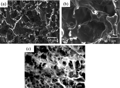 SEM images of freeze-dried (a) and (b) PMMA-36MAA/2DTP and (c) PMMA-24MAA/14CYS gels formed at pH 7.0.