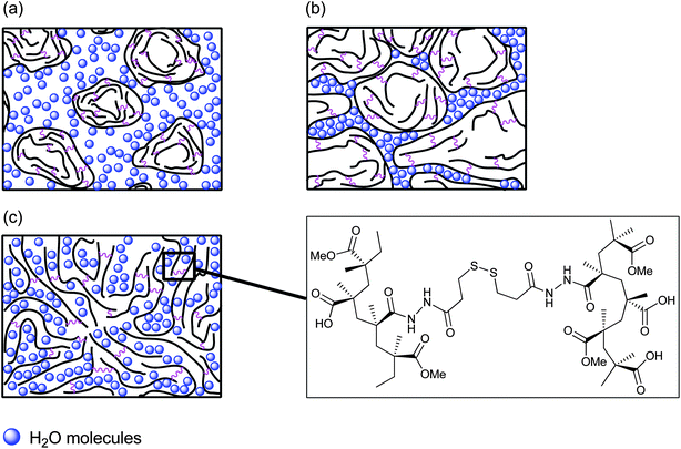 Representation of (a) PMMA-MAA and PEA-MAA crosslinked particles in non-swollen state at pH < 6.5–7.0; (b) PMMA-MAA and PEA-MAA crosslinked particles in swollen state at physiological pH; (c) the process of gelation for the PMMA-MAA/DTP crosslinked particles at pH = 6.5–7.0.