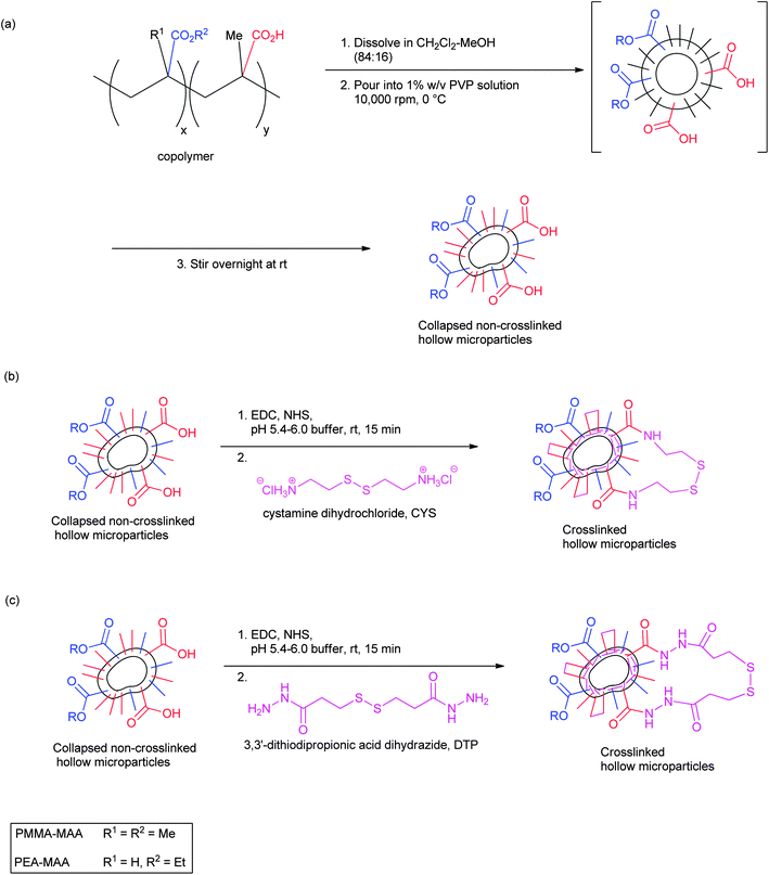 Method for preparation of pH-responsive, crosslinked doughnut-like particles: (a) depicts the preparation of the non-crosslinked particles; (b) and (c) depict the preparation of crosslinked particles using CYS and DTP, respectively. For clarity the PVP stabilizer is not shown.