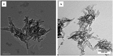 TEM images of as-precipitated (a) HA and (b) SiHA. Both samples showed the well reported needle-like morphology, but the crystal edges are not as well defined compared to those of HA, indicating reduced crystallinity.