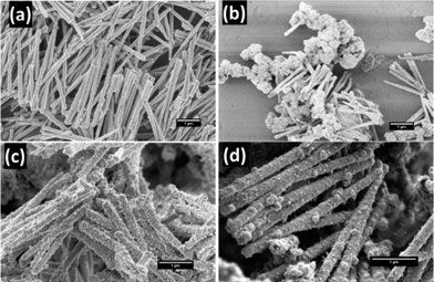 HR-SEM images of Ni nanowires and Au–Ni nanowires. (a) Original Ni nanowires, (b) Oromerse-B Ni nanowires, (c) Sn–Ag–Au–Ni nanowires, and (d) 11-aminoundecanoic acid–Sn–Ag–Au nanowires, hereafter indicated as Au–Ni nanowires.
