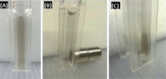 (a) Suspension of Au–Ni nanowires stabilised with GSH and mPEG-SH. (b and c) The Au–Ni nanowires can be collected using a permanent magnet.