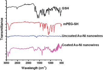 FTIR spectra of GSH, mPEG-SH, and uncoated Au–Ni nanowires, and the attachment of GSH and mPEG-SH to the Au–Ni nanowires.