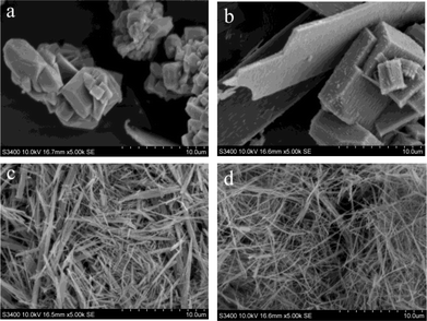 SEM micrographs of materials produced with different H2O/EtOH volumetric ratios: (a) W20E80, (b) W40E60, (c) W60E40, and (d) W80E20.