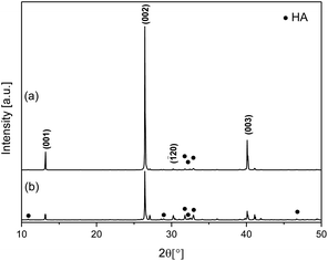 XRD Patterns of calcium phosphate materials with EtOH added to the reaction mixture: (a) after mixing of aqueous reagent solutions (W80E20) and (b) before mixing of reagent solutions (W80E20-B).