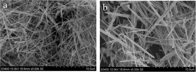 SEM micrographs of calcium phosphate materials with EtOH added to the reaction mixture: (a) after mixing of aqueous reagent solutions (W80E20) and (b) before mixing of reagent solutions (W80E20-B).