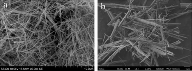 SEM micrographs of products obtained using Ca/P ratios of (a) 1.4 and (b) 1.67.