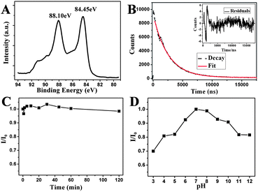 (A) XPS spectra of Au 4f for the as-prepared 11-MUA-AuNCs. (B) Fluorescence decays for 11-MUA-AuNCs in aqueous solution. The red line gives a biexponential fit and the inset is the residuals of the fits. (C) Photostability of the 11-MUA-AuNCs system measured with the relative fluorescence intensity at 608 nm of the AuNCs in water as a function of the UV irradiation time (254 nm). (D) The relative fluorescence intensity at 608 nm of the 11-MUA-AuNCs in the HEPES buffer at different pHs from 3 to 12.
