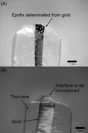 Photographs of sample blocks prepared by cutting polymer with a razor blade. (A) Epofix does not contain thiol and delaminates from gold in some cases. (B) PETMP–TATATO contains thiol and adheres to gold.
