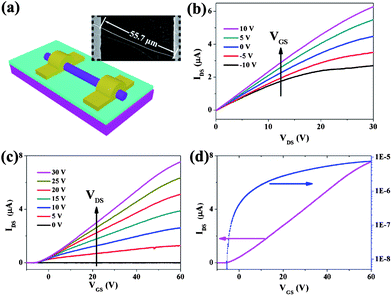 (a) A schematic illustration of a single Zn2GeO4 nanowire FET. Inset is a SEM image of the device. (b) IDS–VDS curves, (c) IDS–VGS curves of a representative transistor. (d) IDS–VGS recorded for the same device plotted on linear (magenta) and logarithmic (blue) scales at VDS = 30 V.