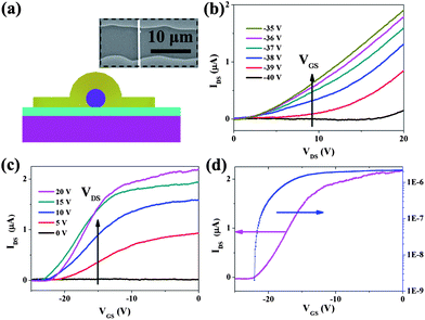 (a) Side view illustration of a single In2Ge2O7 nanowire FET. Inset is a SEM image of the device. (b) IDS–VDS curves and (c) IDS–VGS curves of a representative transistor. (d) IDS–VGS curves recorded for the same device plotted on linear (magenta) and logarithmic (blue) scales at VDS = 20 V.