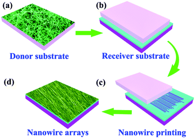 Contact printing of nanowire arrays. (a) As-grown nanowire thin films on silicon substrate. (b) Covering the nanowire thin film on a receiver substrate. (c) Sliding the donor substrate from one side to another with a certain directional shear force. (d) Nanowire parallel arrays on the receiver substrate.