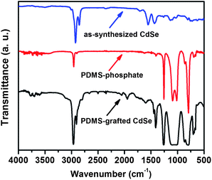 FTIR spectra of as-synthesized CdSe QDs capped with oleic acid, phosphate-terminated PDMS and PDMS-grafted CdSe QDs.
