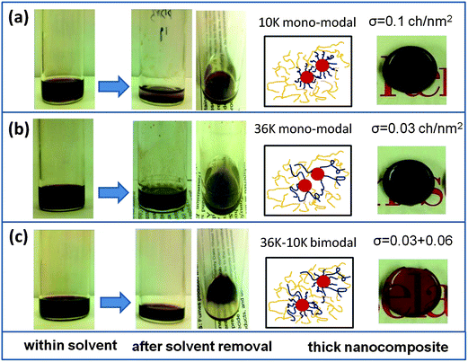 Comparsion of dispersion behavior of mono-modal and bimodal PDMS-grafted CdSe QDs within a silicone matrix: (a) QDs grafted with mono-modal 10 kg mol−1 PDMS; (b) QDs grafted with mono-modal 36 kg mol−1 PDMS; (c) QDs grafted with bimodal PDMS. The inset shows the resultant CdSe–silicone nanocomposite (with a thickness of 3 mm) filled with mono-modal and bimodal PDMS-grafted QDs.
