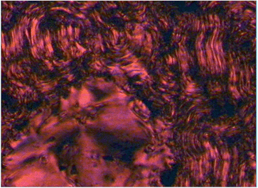 Optical polarising microscopy image showing the transition from the SmA to SmX phase in compound 6-Zn(iiiiii) on cooling from 130 °C to 92 °C (magnification 100×).