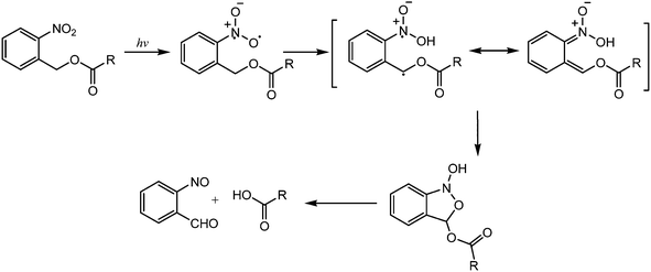 Reaction mechanism of ortho-nitrobenzyl esters upon irradiation with UV-light (ref. 13).