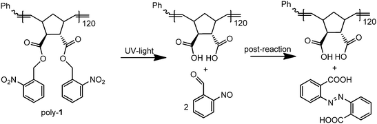 Photo-reaction in poly-1 containing o-nitrobenzyl ester units and post-reaction of o-nitrosobenzaldehyde.