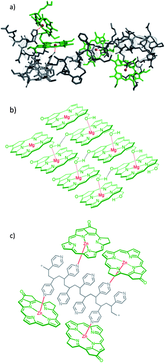 (a) Fragment (amino acid residue numbers 215–163 from left to right) of Spinach light-harvesting complex (LHC II). Chl's bound to Mg atoms are coordinated by various electron pair donors such as the imidazole nitrogen of histidine (His or H, residue 212), amide oxygens of glutamine (Gln or Q, residue 197) and asparagine (Asn or N, residue 183) and carboxylate oxygen of glutamic acid (Glu or E, residue 180). The figure was produced with a Discovery Studio protein modeling program using the Protein Data Bank coordinates [PDB accession number 1RWT]. (b) Sketch of self-assembled aggregates formed by Mg–oxygen electron pair coordination and hydrogen bonding in BChl. (c) Illustration of Zn–pyridine interaction between Zn chlorin and P4VP.