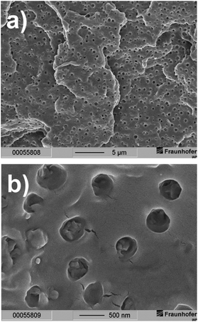 Scanning electron microscopy pictures of a freeze-fractured surface of PLA composite I at two different magnifications (scaling: (a) 5 μm and (b) 500 nm).