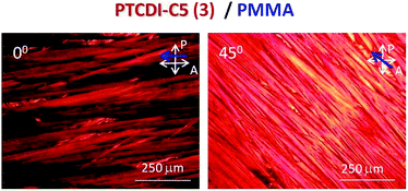 Polarized optical microscopy images of bi-functional composites based on PTCDI-C5(3) with PMMA (1 : 1) as a polymer matrix. The blue arrow indicates the casting direction; white arrows show orientations of polarization planes of the polarizer and analyser.