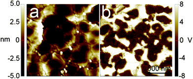 Left: 1.5 × 1.5 μm2C-AFM topography image. Right: the same area scanned using piezoelectric force microscopy, showing the piezoelectric domain structure of a LiNbO3 thin film deposited on a silicon substrate using 666 super-cycles each consisting of two cycles of Nb(OEt)5 and H2O and one cycle of LiN(SiMe3)2 and H2O, thereafter annealed for 15 min at 650 °C. The back contacts were made of silver paint.