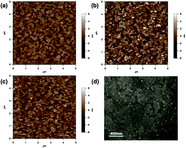 AFM topography images of (a) V2O5, (b) Au-NP/V2O5, (c) Au-NP:PSS/V2O5 on the ITO substrate and (d) SEM image of Au-NP:PSS coated ITO/glass substrate.