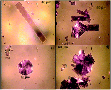 Optical microscopy images of PCBM crystal solvent cast from CB.