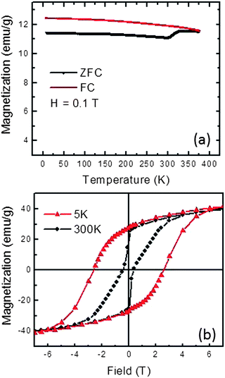 Temperature and field dependent magnetizations of as-prepared L10 CoPt nanopowder. (a) ZFC and FC magnetization under 0.1 T field. (b) Magnetic hysteresis loops at 5 K and 300 K.