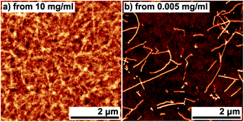 (a) AFM images of a film spin-cast on a fused silica substrate from a solution of 10 mg ml−1 P3HT in chlorobenzene with a 14 vol% content of DTBP. The height-scale is 17 nm. (b) AFM image of P3HT nanofibers on a SiO2 substrate, spin-cast after further diluting the solution used in (a) to 5 × 10−3 mg ml−1 P3HT in chlorobenzene. The height-scale is 6 nm.