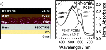 (a) Schematic of a bilayer solar cell as investigated in this study, comprising a ∼50 nm thick film of P3HT nanofibers as absorber layer, and a ∼25 nm thick layer of PCBM as electron-accepting layer. The materials are deposited subsequently from the same solvent (chlorobenzene). (b) Normalized absorption spectra of a P3HT/PCBM bilayer on fused silica similar to the one used as active layer in the device shown in (a), before and after annealing at 150 °C. The spectra are compared to a film of a P3HT:PCBM blend (ratio 1 : 0.8). The spectra are normalized to the local minimum at ∼395 nm.
