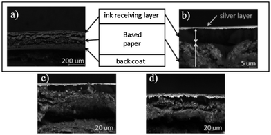 SEM images of cross-sectional profile of a single layer of Ink B inkjet printed onto transfer tattoo paper. (a) shows the multilayer structure of the transfer tattoo paper with three distinguishable layers; (b) shows a closer look to the upper layers of transfer tattoo paper onto which a single layer of Ink B has been inkjet printed; (c) and (d) show the cross-section a silver film inkjet printed onto transfer tattoo paper heated for 15 and 90 minutes, respectively.