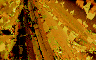 Photo of the planar texture for A/0/3 in the SmC phase at T = 150 °C (the cell thickness is 12 μm).