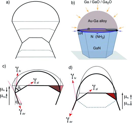 Growth model: (a) schematic showing the evolution of the droplet-nanowire system as the size oscillates. The interplay between size dependent droplet supersaturation and the fully faceted morphology of the droplet-nanowire interface is shown. (a) Schematic showing the main elements of the theoretical model that relates the size and the V : III ratio to the growth morphology of the serrated nanowire. The nitrogen incorporation is assumed to occur over an exposed annular ring (thickness δR) enveloping the contact line (shaded blue), which also serves as the preferred site for GaN nucleation as illustrated. (c and d) The energetics at the contact line during (c) the widening (d) and narrowing phases of the growth. The colored regions near the contact line represent the volume swept out by the truncating facets during each oscillatory growth cycle. The dark solid and dotted lines represent the initial and final states of the droplet and the sidewall facets, respectively. The lightly shaded dotted line in (d) is an alternate concave morphology of the solid–liquid interface that is also possible as the sidewalls narrow inwards. See text for details.