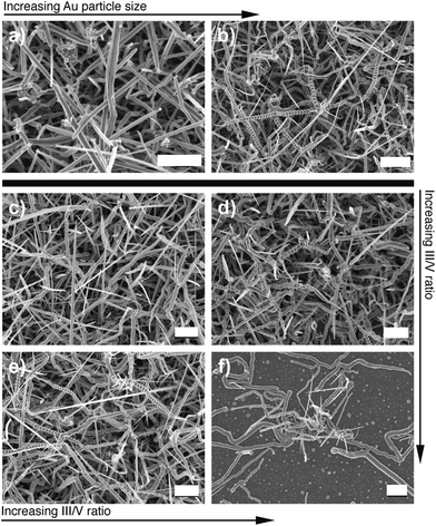 Interplay between particle size and III/V ratio and growth morphology: (a)–(b) Effect of Au catalyst size at fixed Ga2O3 partial pressure, m = 1.02 g. (a) The serrated morphology is noticeably absent for small sizes (R ≈ 80 nm) and dominates much of the as-synthesized network at larger sizes (R > 100 nm). (c–f) Effect of increasing partial pressure of Ga2O3; the input mass for the four cases are m = 0.61 g, m = 0.75 g, m = 1.03 g and m = 1.91 g, respectively.